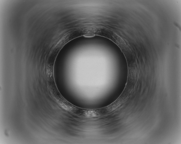 X0000097630091200802291350