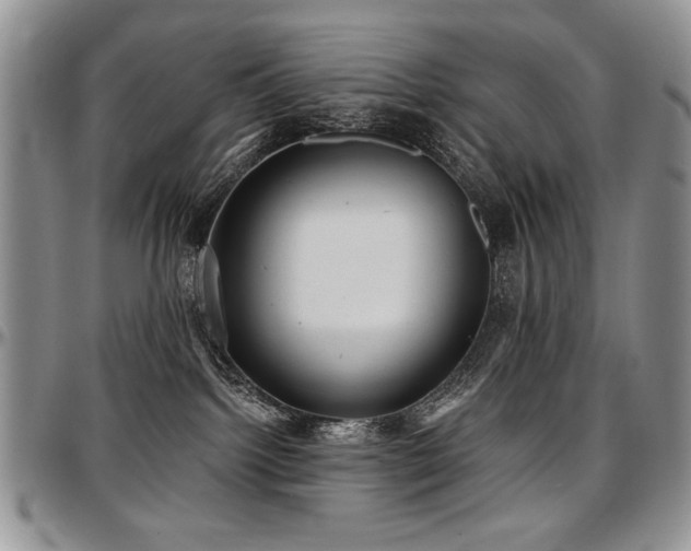 X0000097630092200802291350