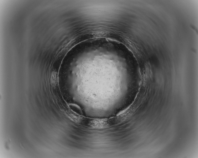 X0000097630093200802291351