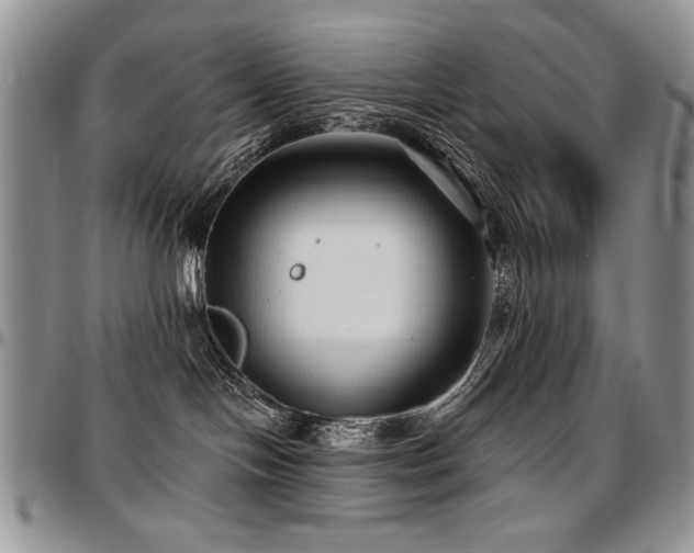 X0000097630094200802291351