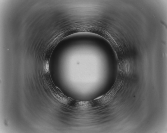 X0000097630095200802291351