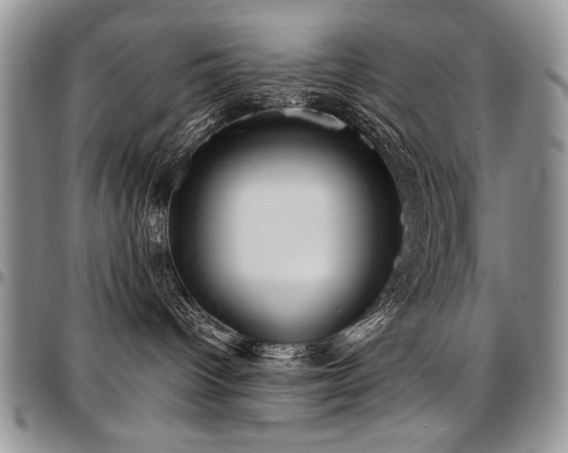 X0000097630096200802291351