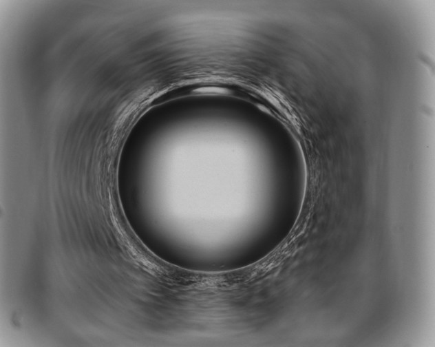 X0000097630097200802291350