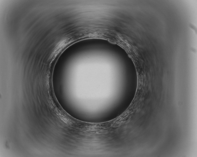 X0000097630098200802291350