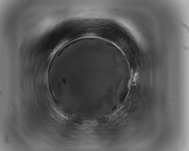 X0000097630099200802291350