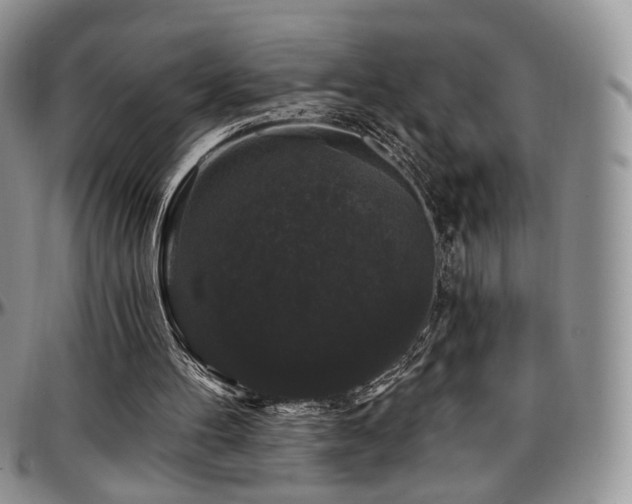 X0000097630100200802291350