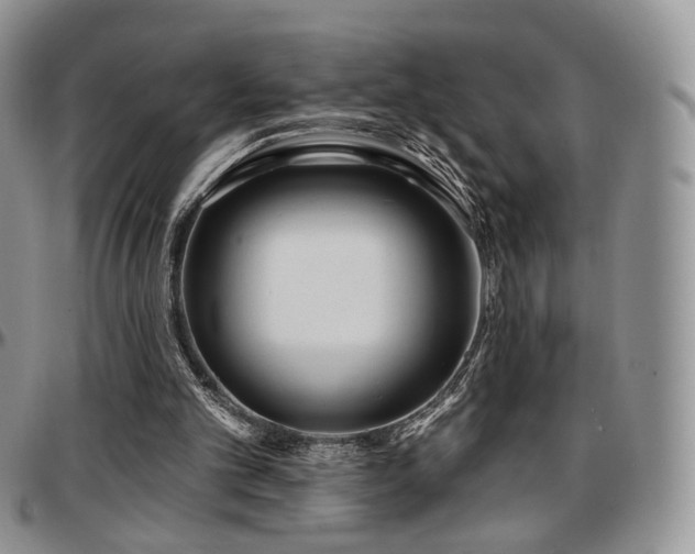 X0000097630101200802291350