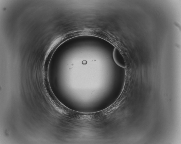 X0000097630102200802291350