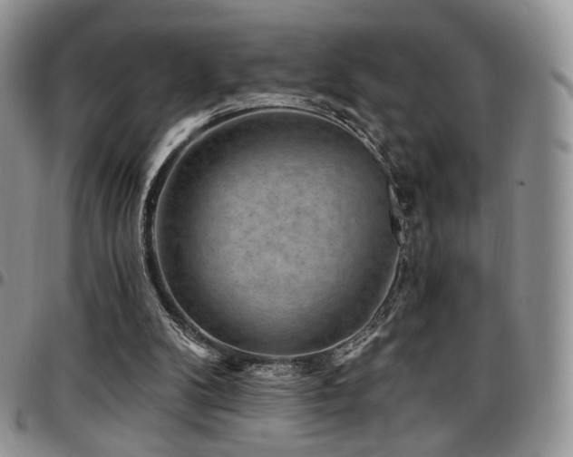 X0000097630104200802291350