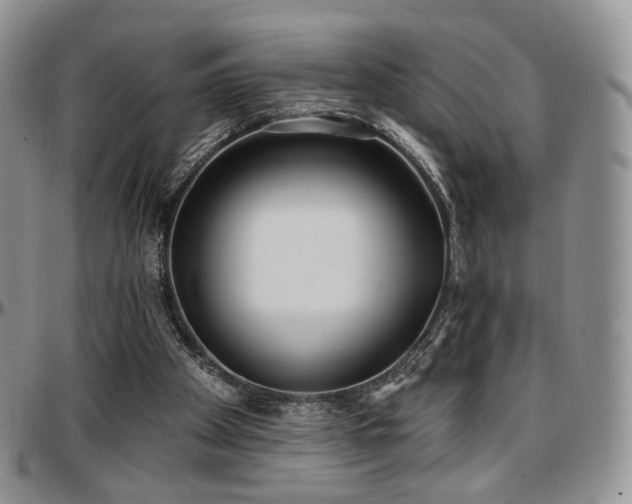 X0000097630105200802291350