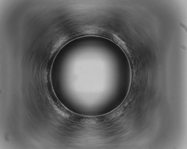 X0000097630106200802291350