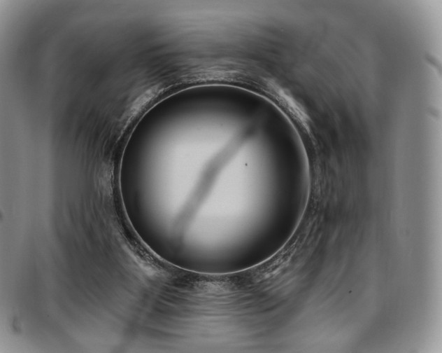 X0000097630107200802291350