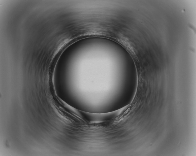 X0000097630108200802291350