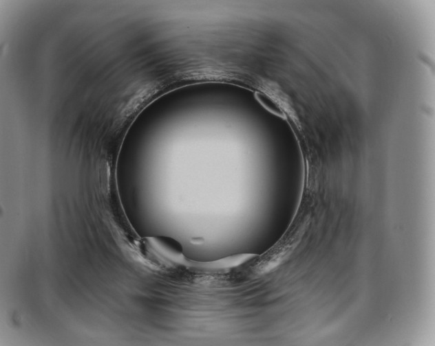 X0000097630109200802291350