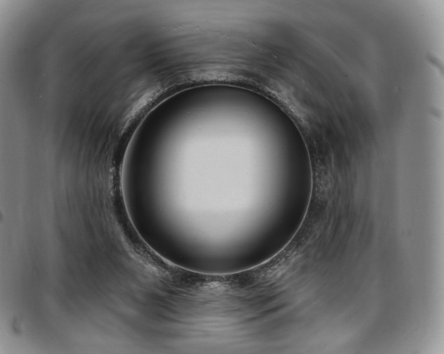 X0000097630111200802291350