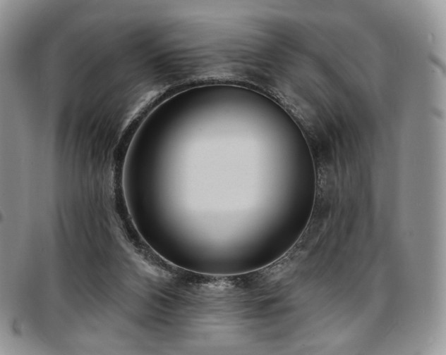 X0000097630112200802291350