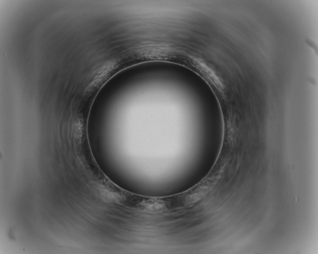 X0000097630113200802291350