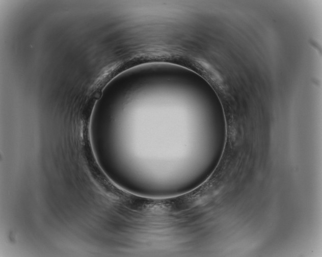 X0000097630115200802291350