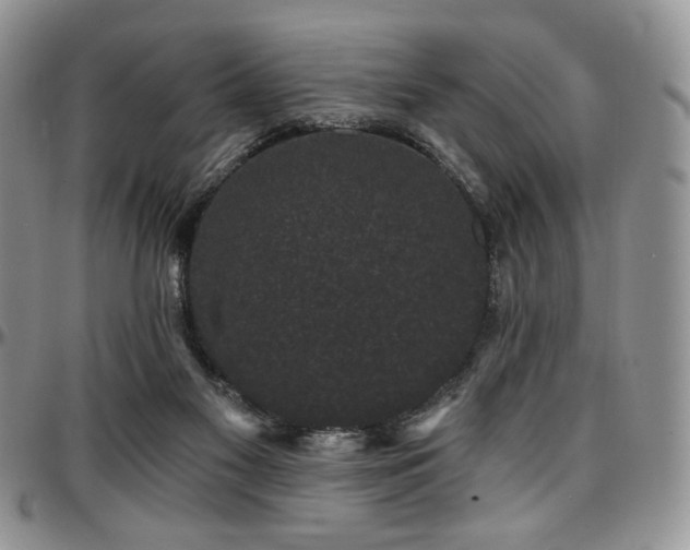 X0000097630117200802291350