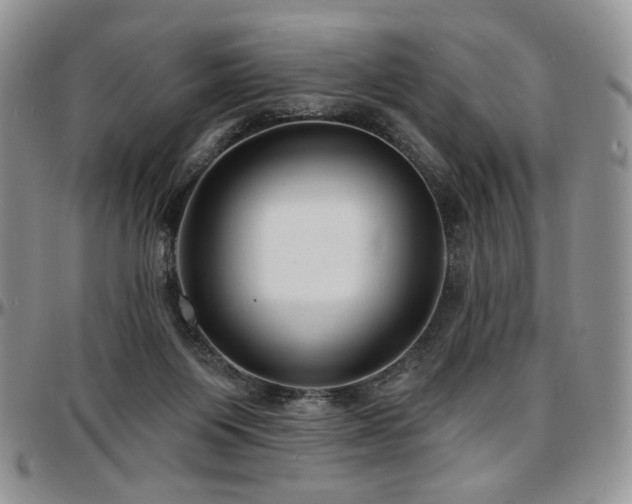 X0000097630119200802291350