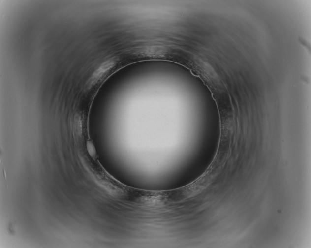 X0000097630120200802291350