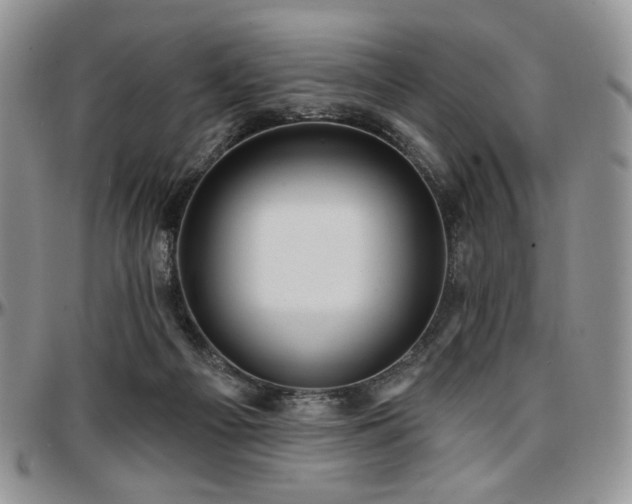 X0000097630121200802291350