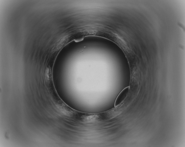 X0000097630122200802291350