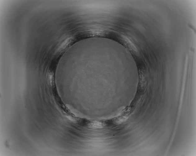 X0000097630123200802291350