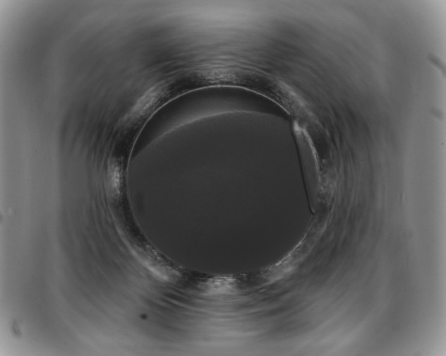 X0000097630124200802291349