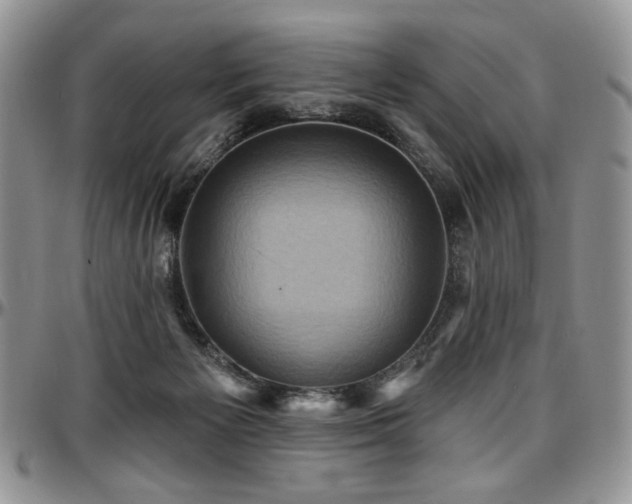 X0000097630125200802291349