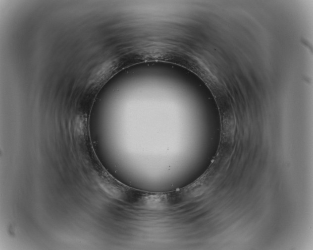 X0000097630126200802291349