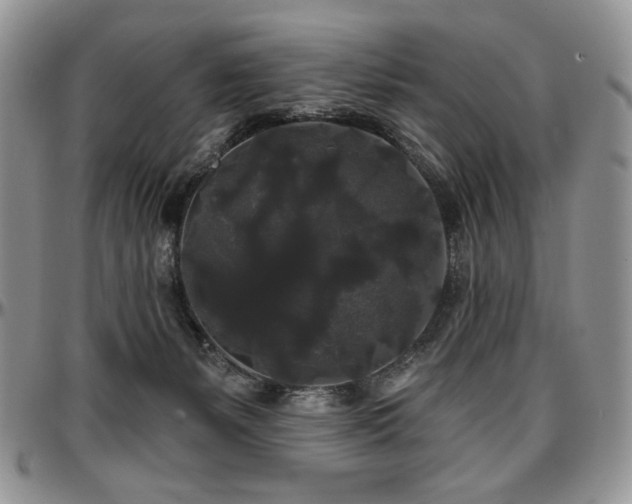 X0000097630127200802291349