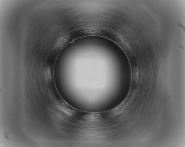 X0000097630128200802291349