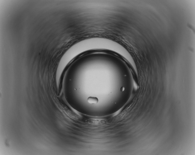 X0000097630130200802291349