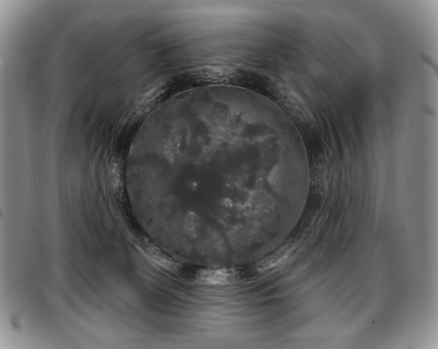 X0000097630131200802291349