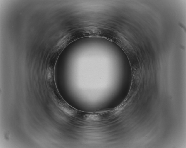 X0000097630132200802291349