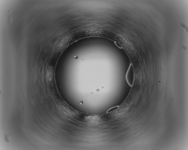 X0000097630133200802291349