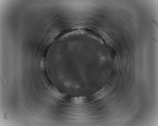 X0000097630134200802291349