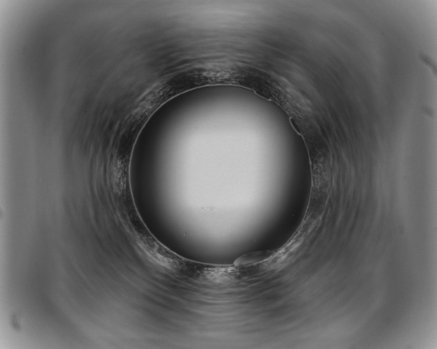 X0000097630136200802291349