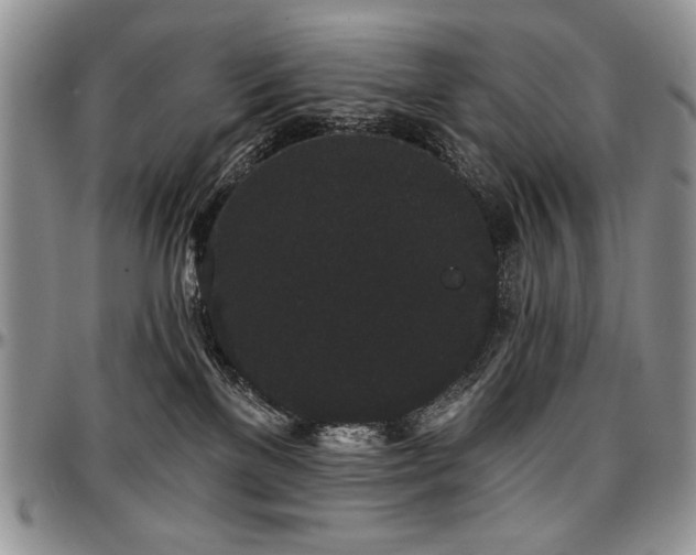 X0000097630137200802291349