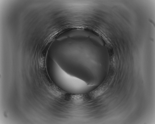 X0000097630139200802291349