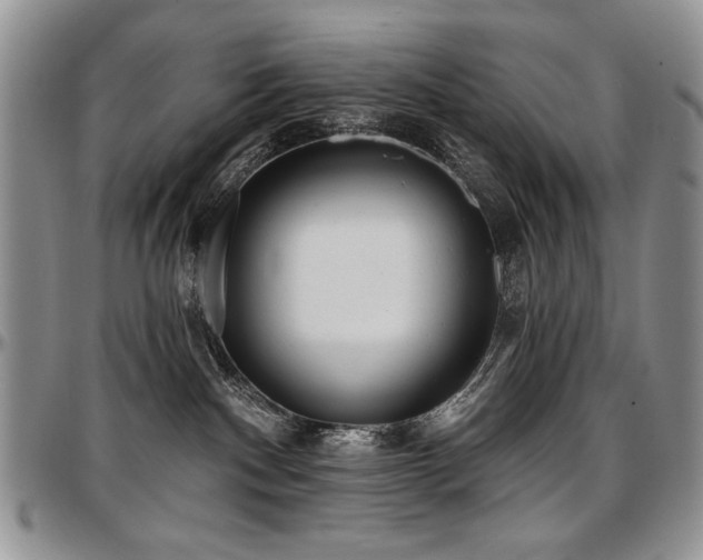 X0000097630140200802291349