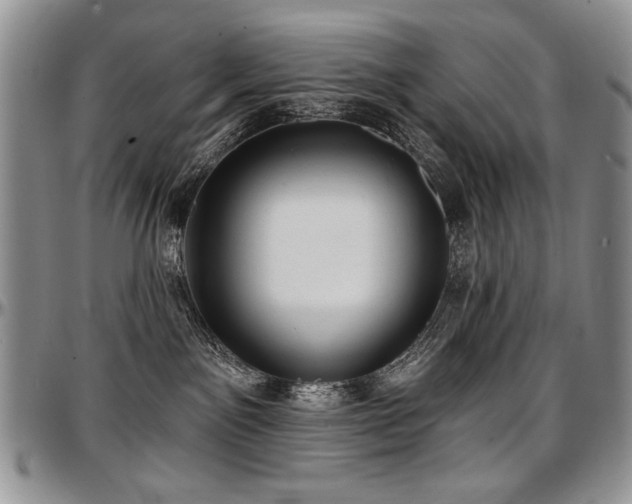 X0000097630141200802291349