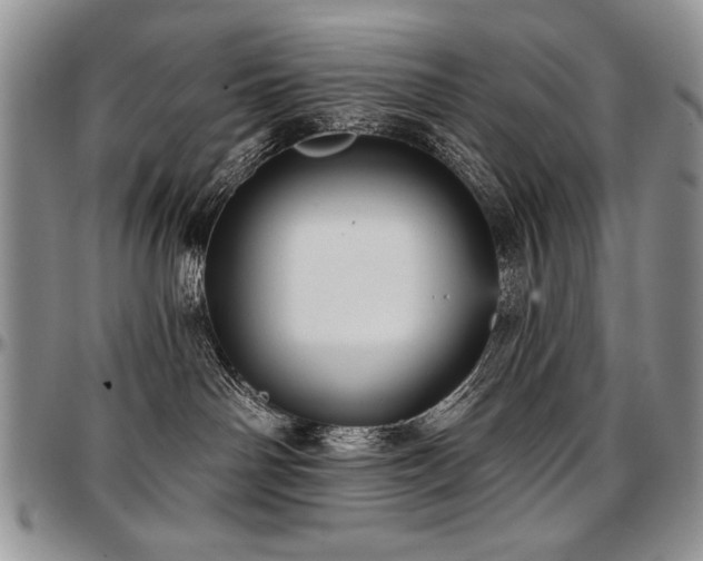 X0000097630142200802291349