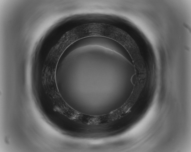 X0000097630143200802291349