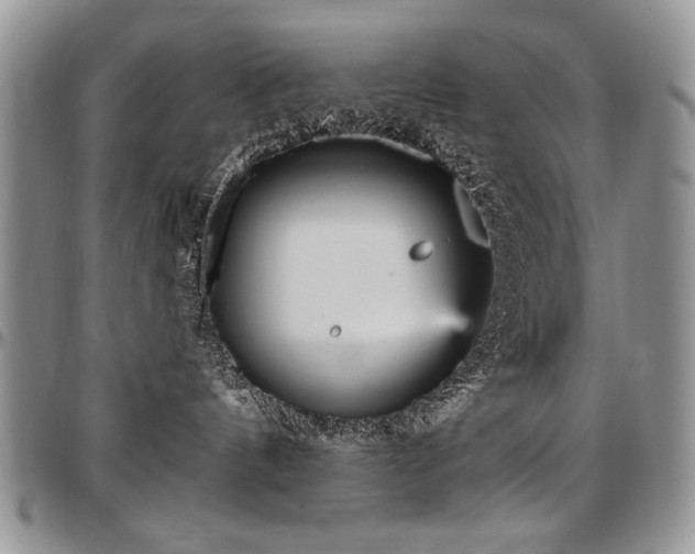 X0000097630144200802291349