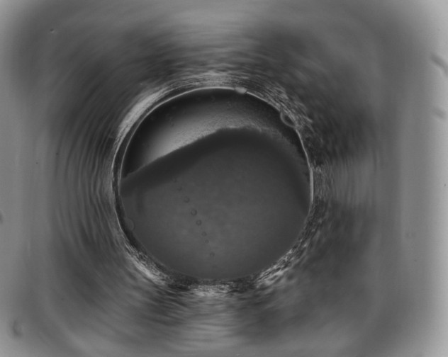 X0000097630147200802291348