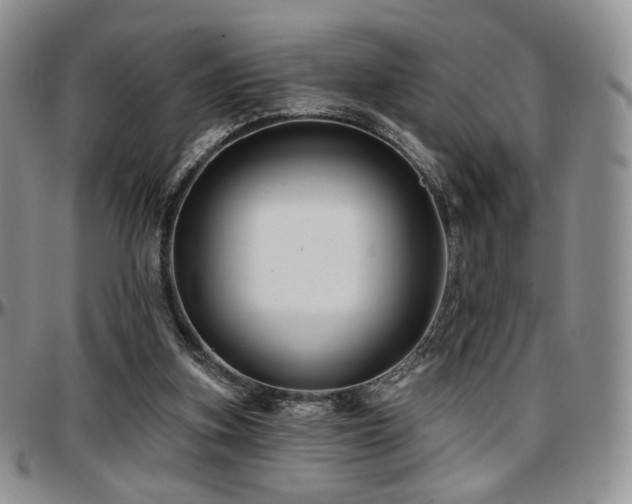 X0000097630155200802291349