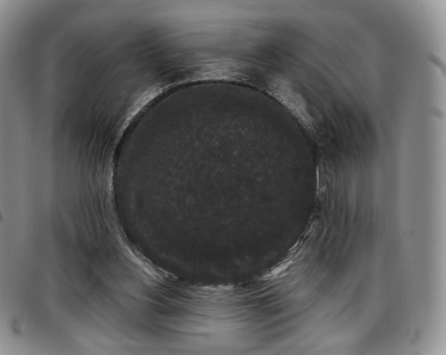 X0000097630156200802291349