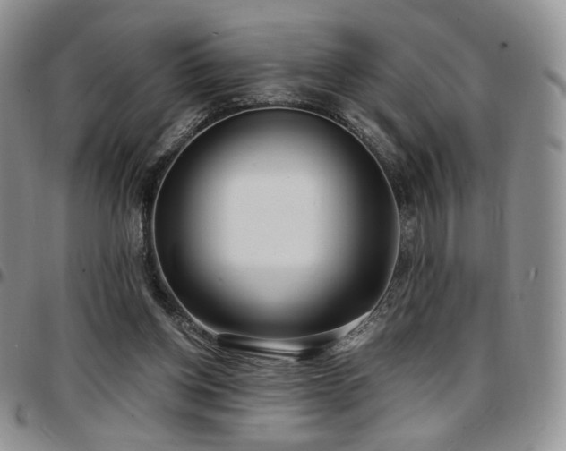 X0000097630158200802291349